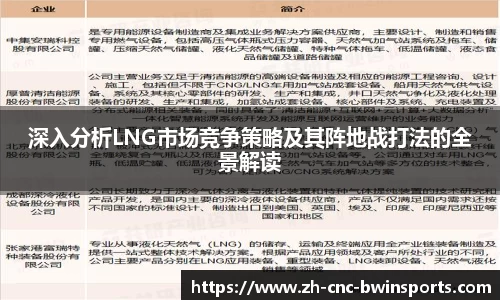 深入分析LNG市场竞争策略及其阵地战打法的全景解读